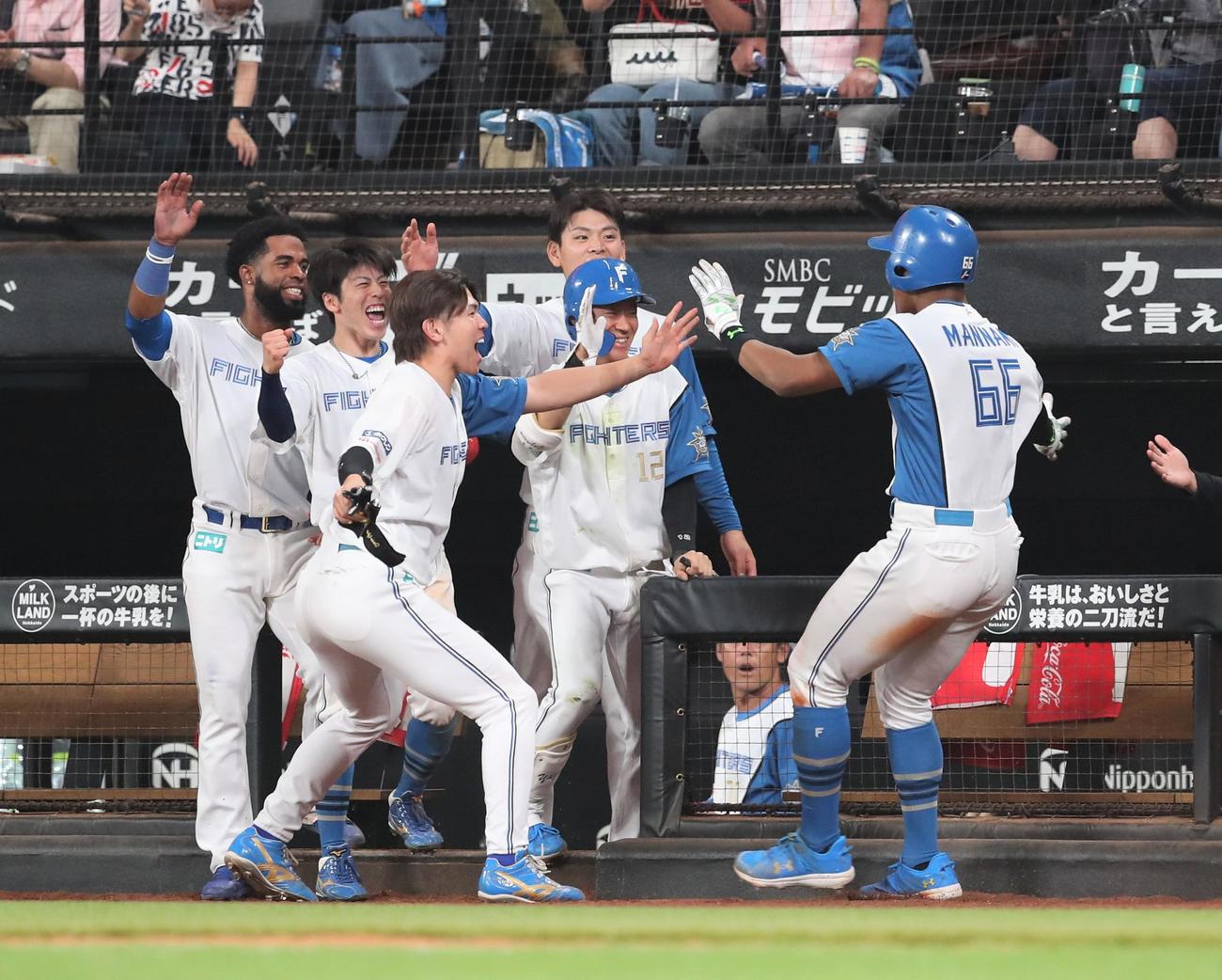 日本ハム対楽天　8回裏、生還した万波を出迎えるナイン（撮影・黒川智章）