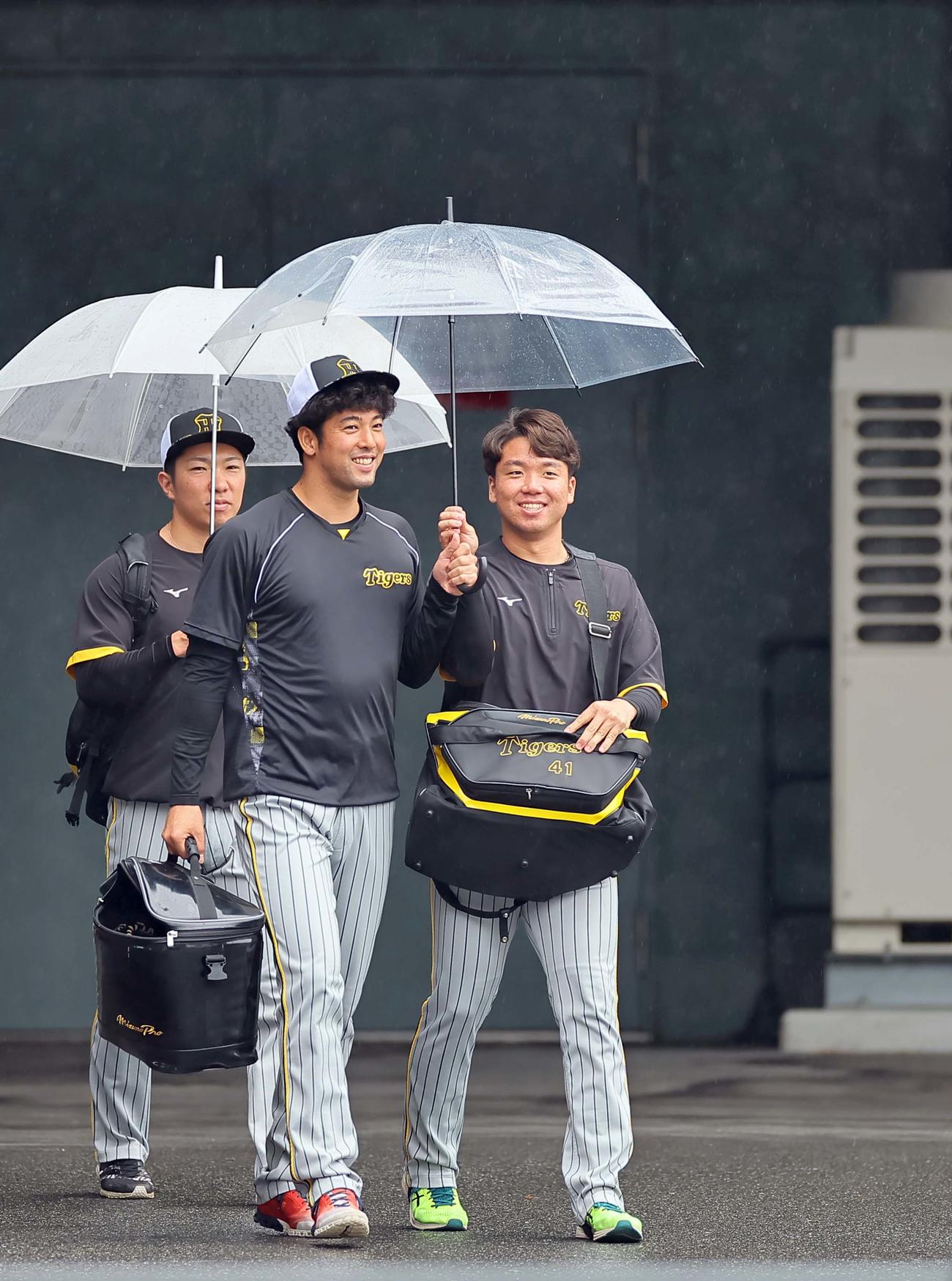 広島対阪神　傘をさしながら室内練習場へ向かう右から村上、加治屋、石井（撮影・上田博志）