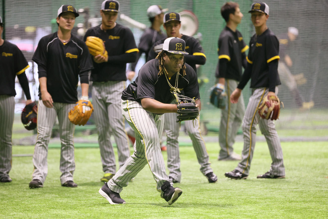 広島対阪神　ノックを受ける阪神ミエセス（中央）（撮影・加藤孝規）