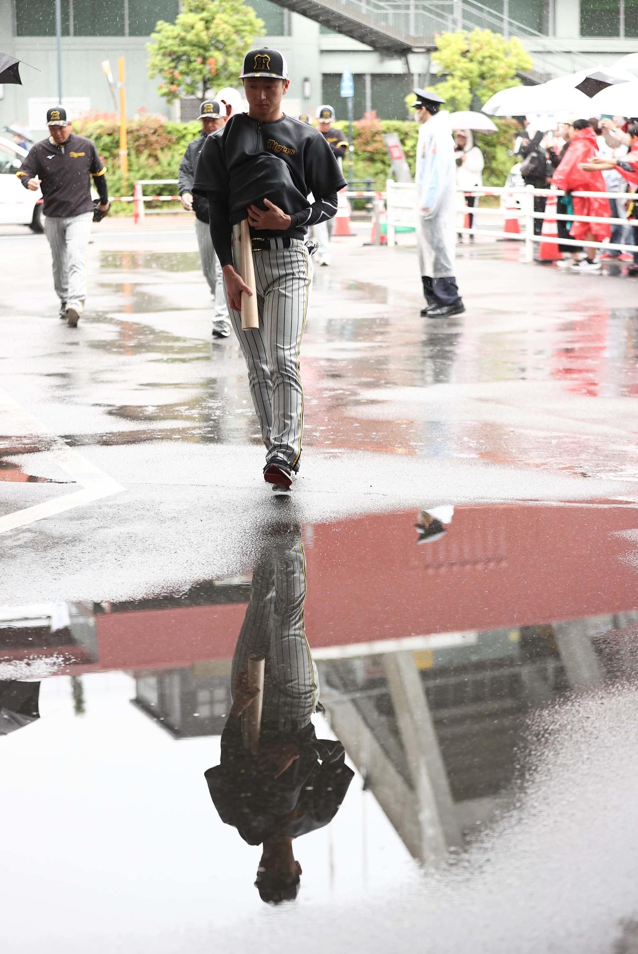 広島対阪神　バットとグラブを雨から守りながら室内練習場へ向かう近本（撮影・上田博志）