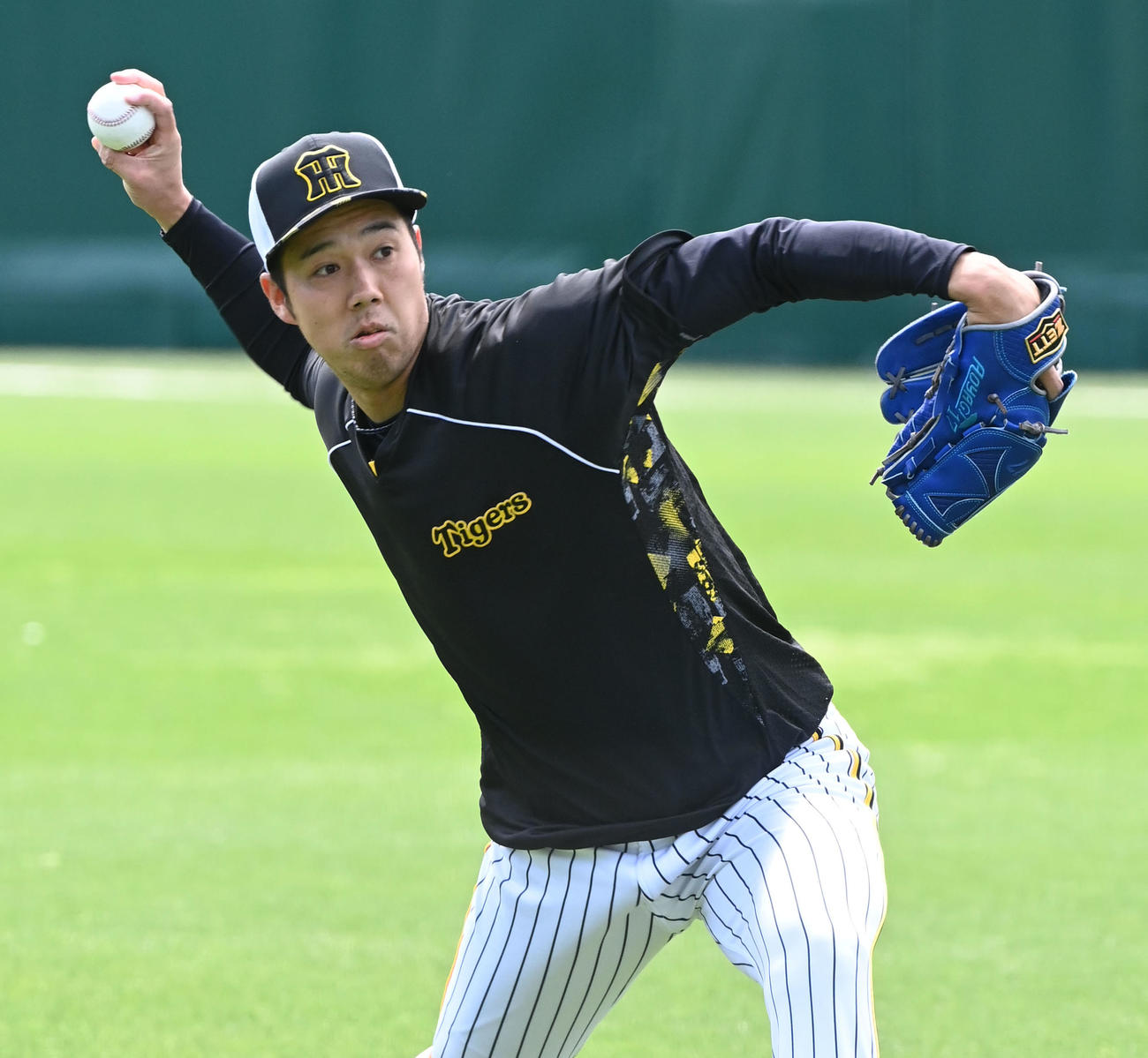 甲子園球場でキャッチボールする阪神青柳（撮影・和賀正仁）