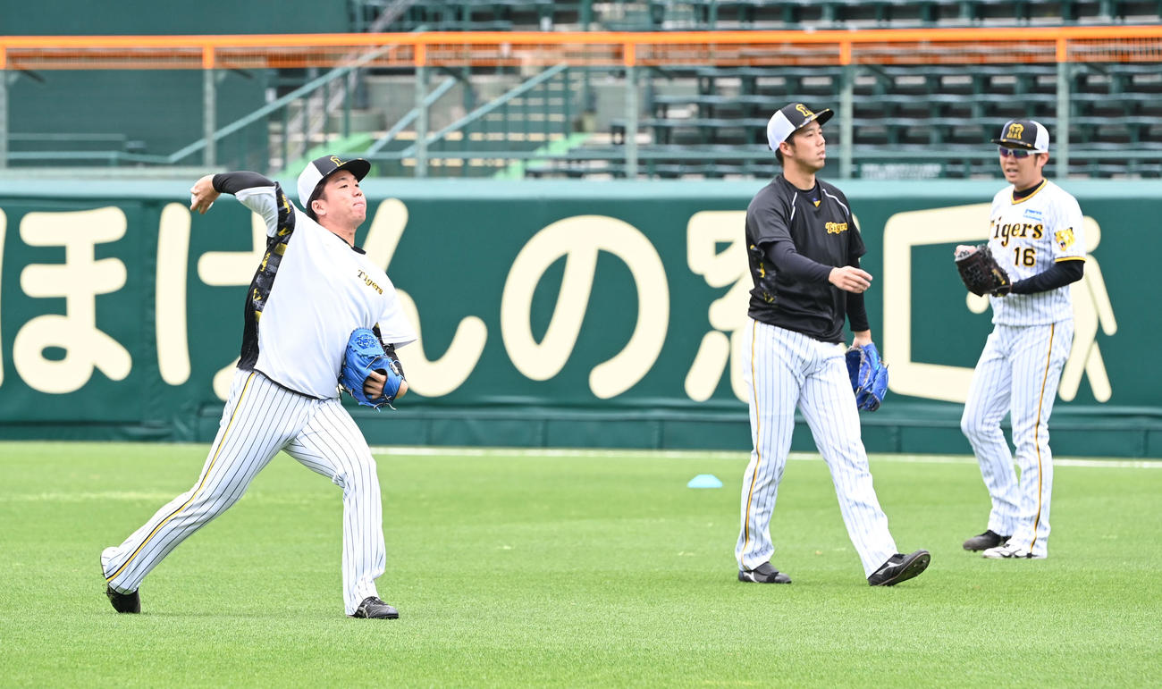 甲子園球場でキャッチボールする左から阪神村上、青柳、西勇（撮影・和賀正仁）