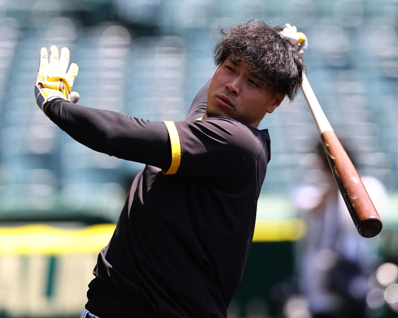 3日、甲子園で打撃練習に臨む阪神佐藤輝