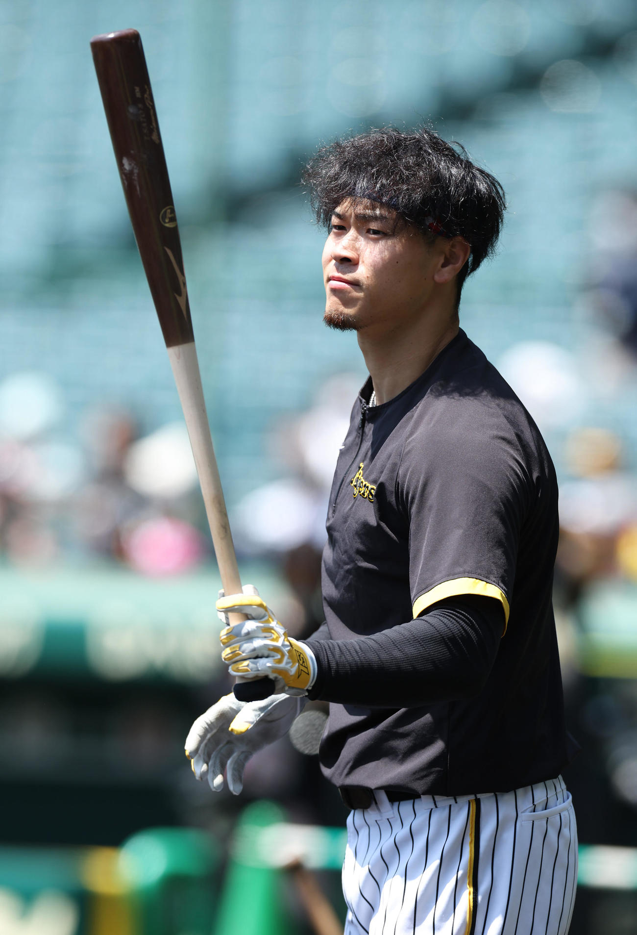 3日、甲子園で打撃練習に臨む阪神佐藤輝