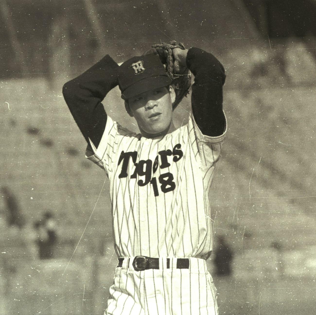 阪神中井悦雄（1963年撮影）