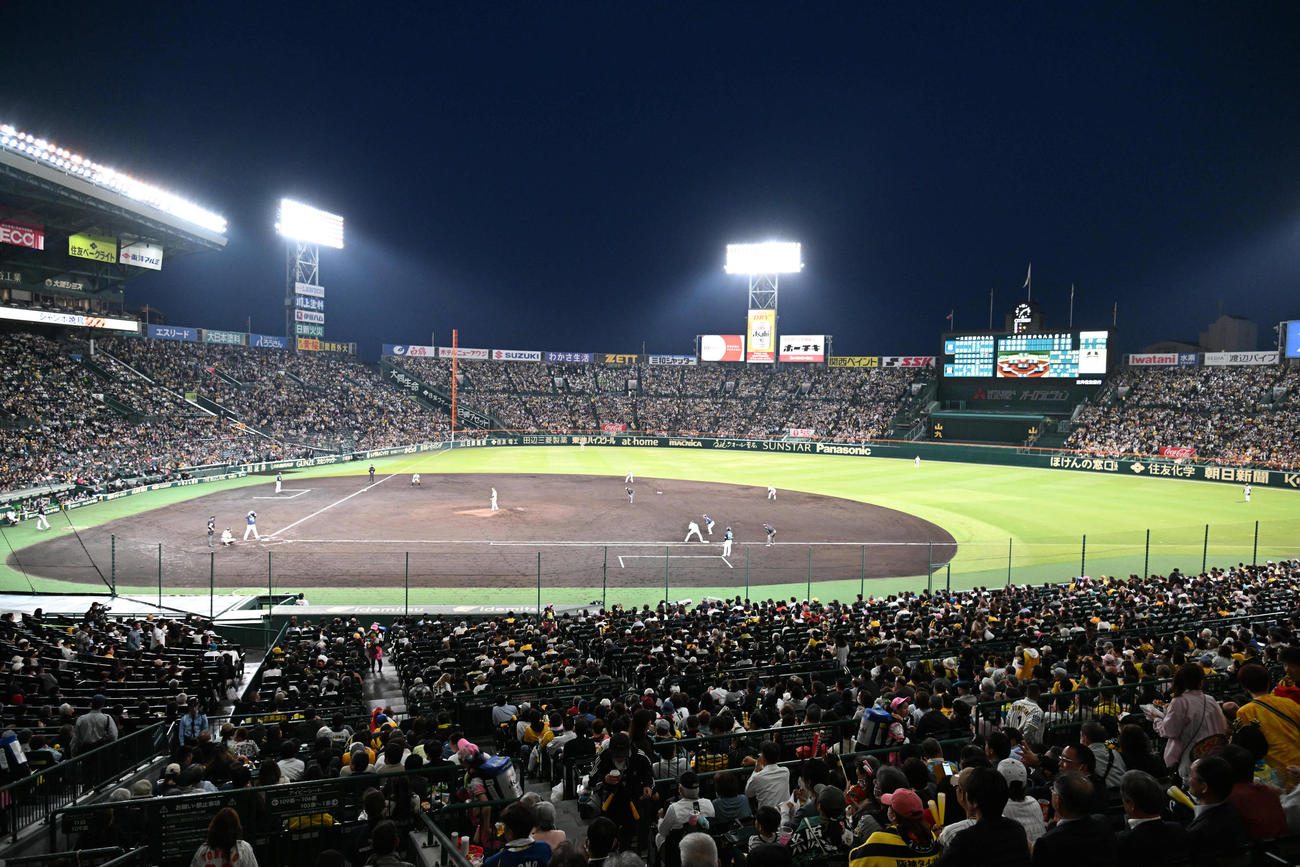 多くのファンが観戦する阪神対ヤクルト戦（撮影・石井愛子）