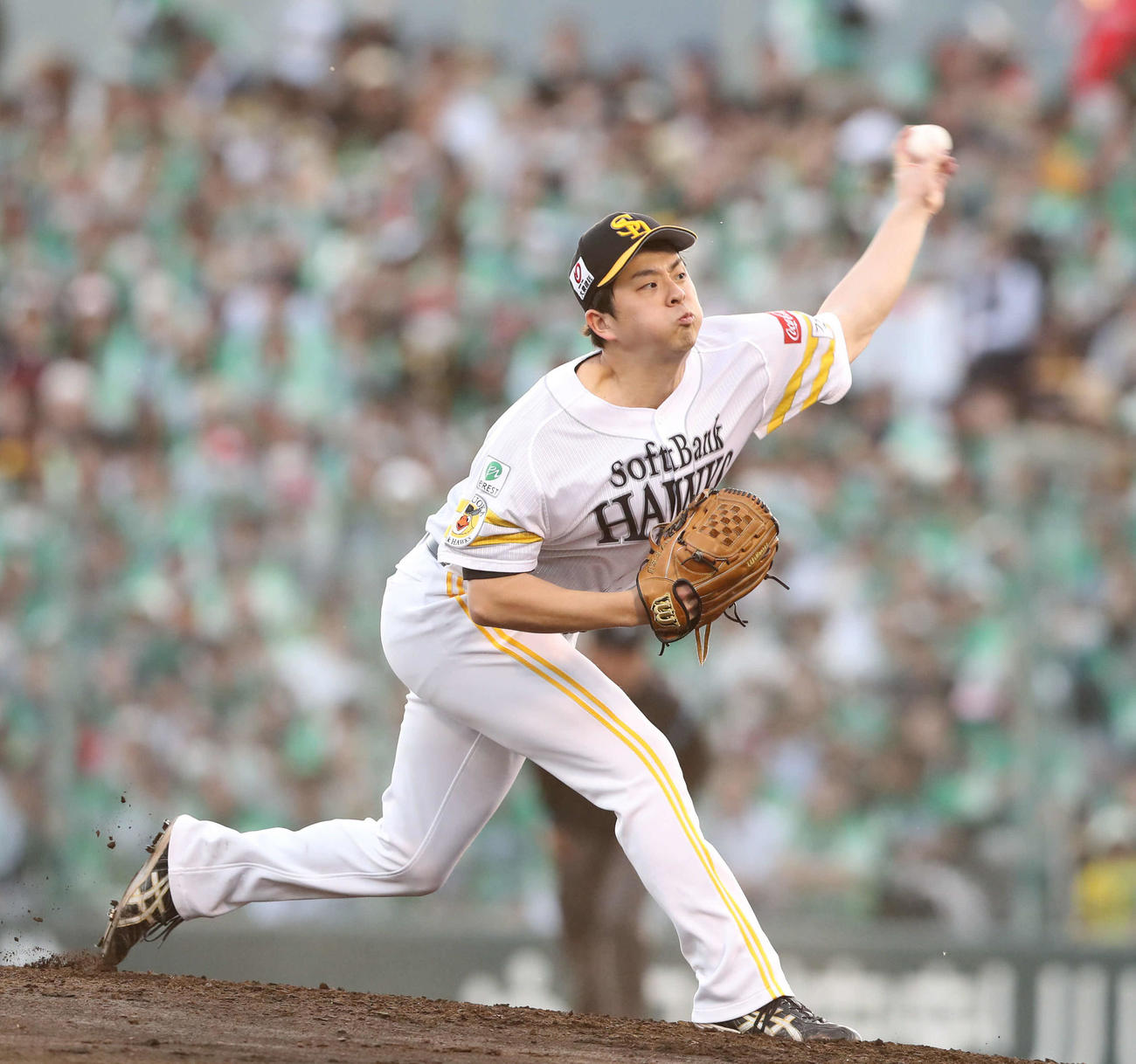 ソフトバンク対日本ハム　大関は1安打完封勝利を挙げる（撮影・梅根麻紀）