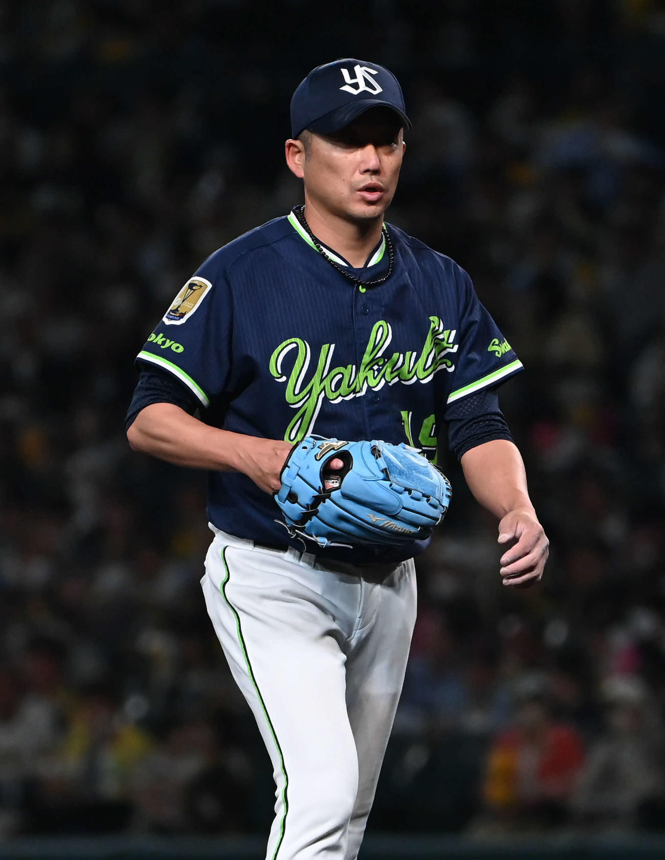 阪神対ヤクルト　6回無失点で降板する石川（撮影・石井愛子）