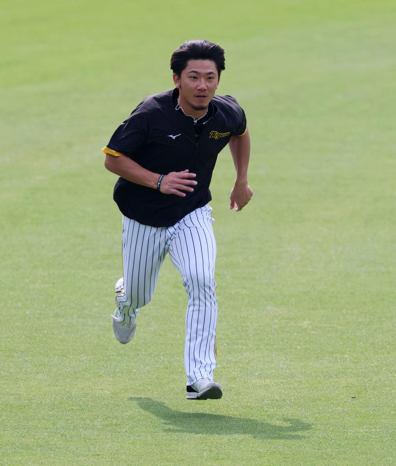 阪神対ヤクルト　練習で外野をダッシュする伊藤将（撮影・加藤哉）