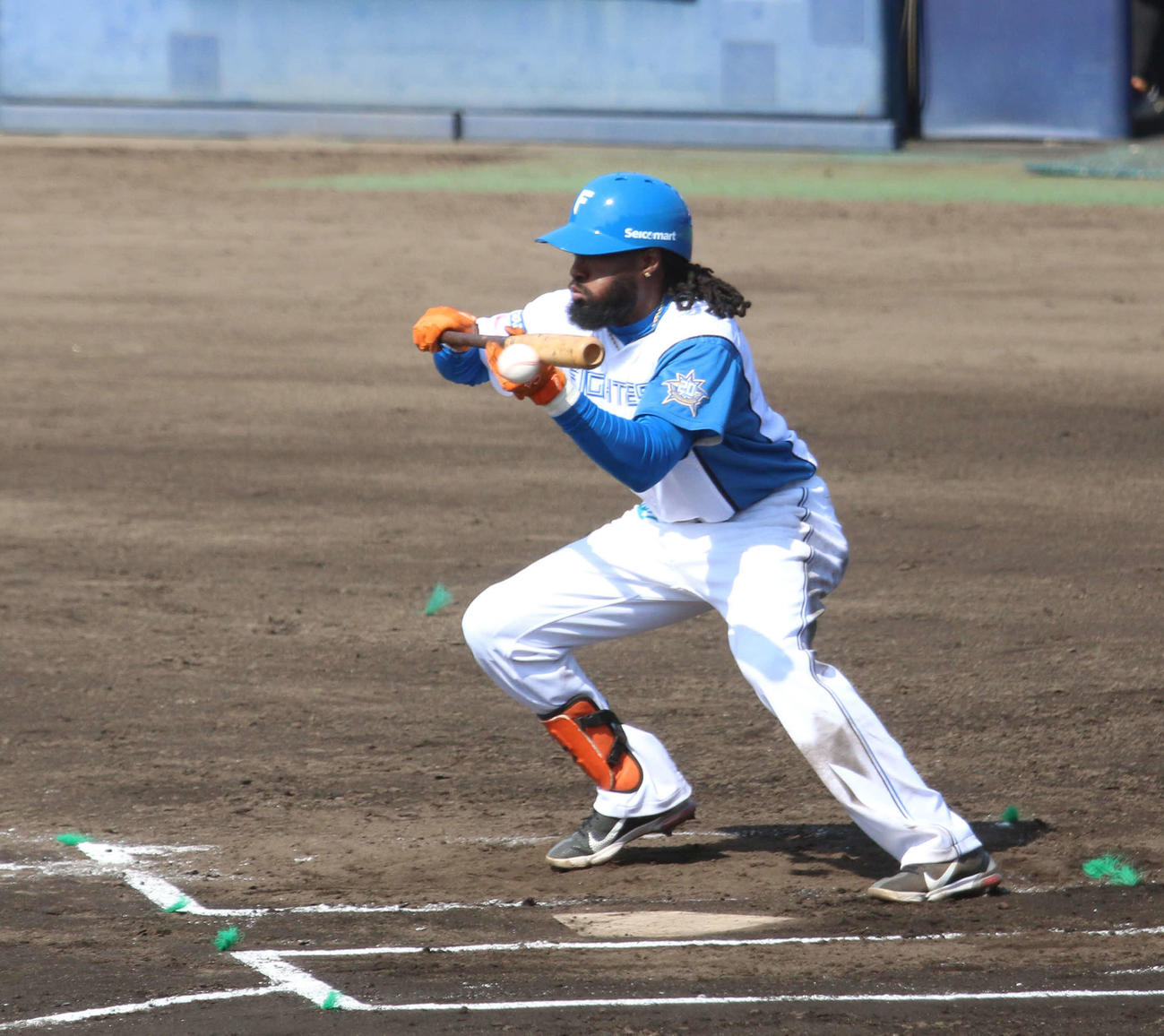 日本ハム対DeNA 6回裏日本ハム無死一塁　セーフティーバントで投前に安打を放った日本ハム・ハンソン（撮影・木下大輔）