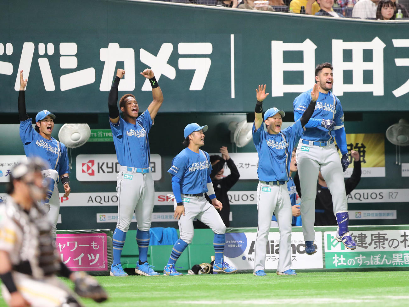 ソフトバンク対日本ハム　6回表日本ハム2死、アルカンタラの本塁打で盛り上がるナイン（撮影・梅根麻紀）