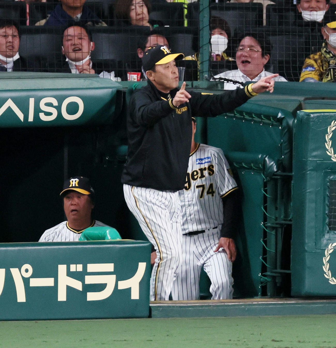 阪神対ヤクルト　7回表ヤクルト2死一、三塁、岡田監督は青木の一塁判定にリクエストする（撮影・加藤哉）