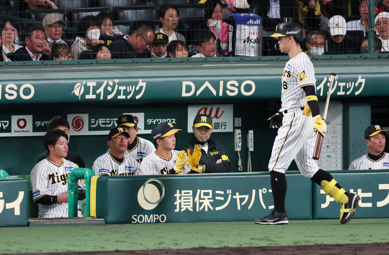 阪神対ヤクルト　6回裏を終えベンチで腕組みしたままの岡田監督。左端は小野寺、同4人目は井上。右は佐藤輝（撮影・加藤哉）