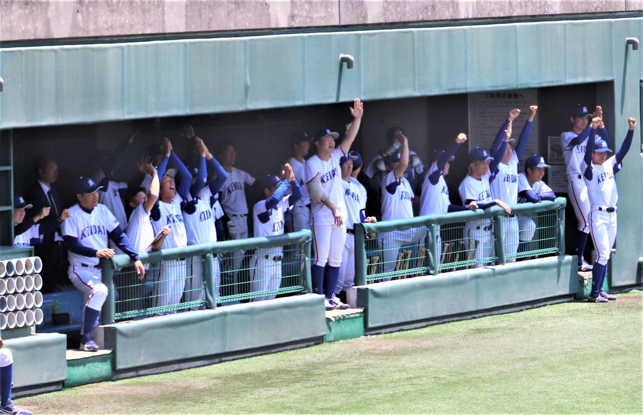 7回表に一挙6点を返し、勝ち越す。追加点にわく大経大ベンチ（撮影・中島麗）