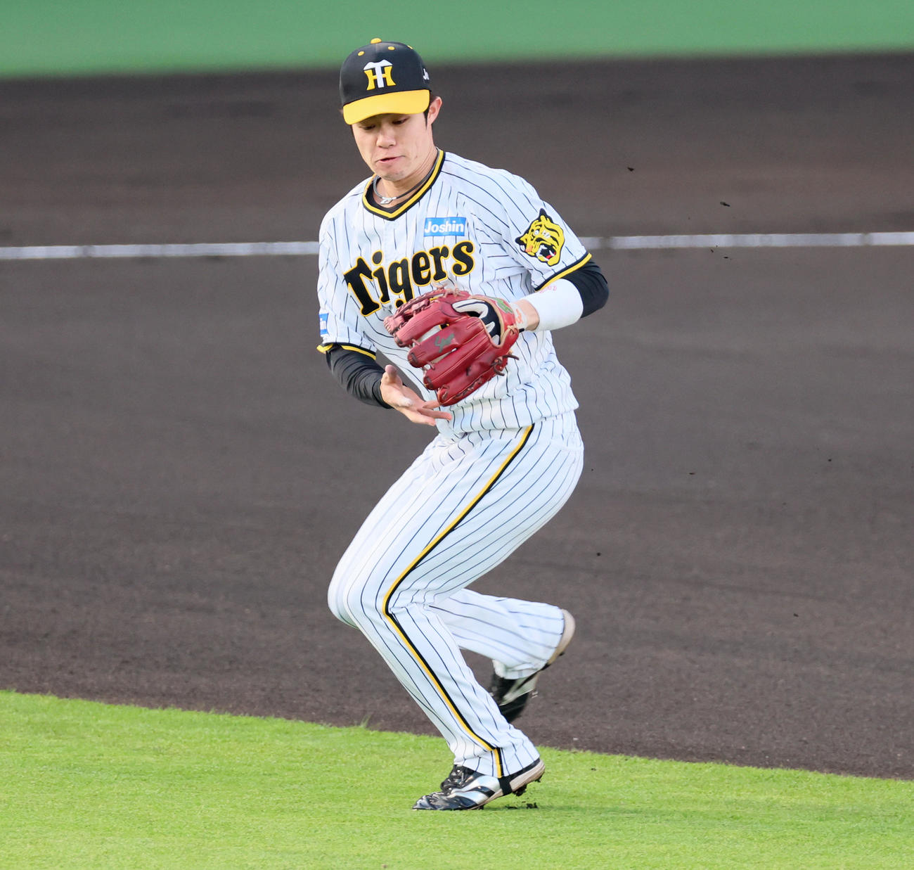 阪神対ヤクルト　1回表ヤクルト1死、中野は浜田の打球を捕球（撮影・加藤哉）