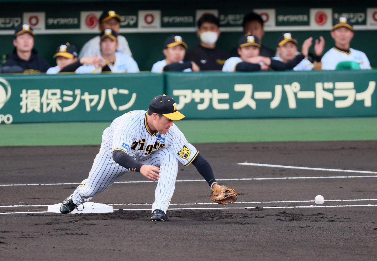 阪神対ヤクルト　1回表ヤクルト1死、浜田の打球を中野が送球したが捕球出来ない大山（撮影・加藤哉）