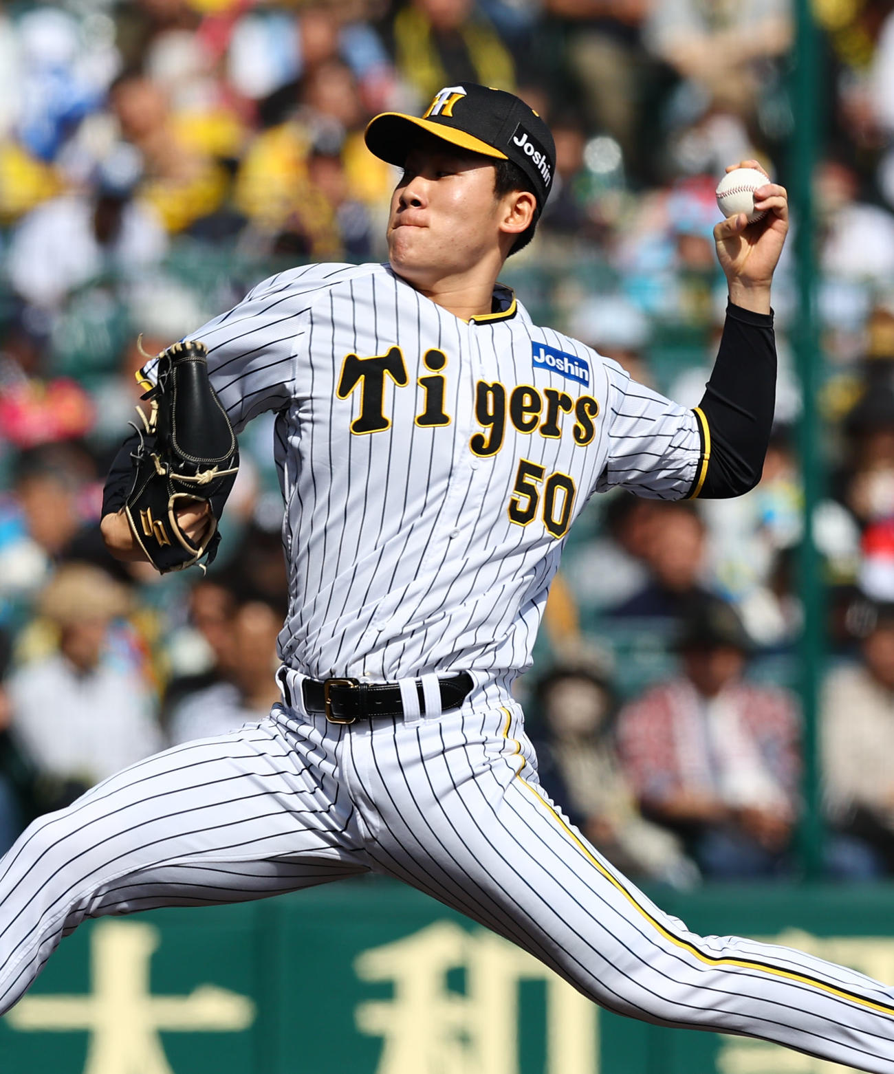 阪神富田蓮（2023年5月撮影）