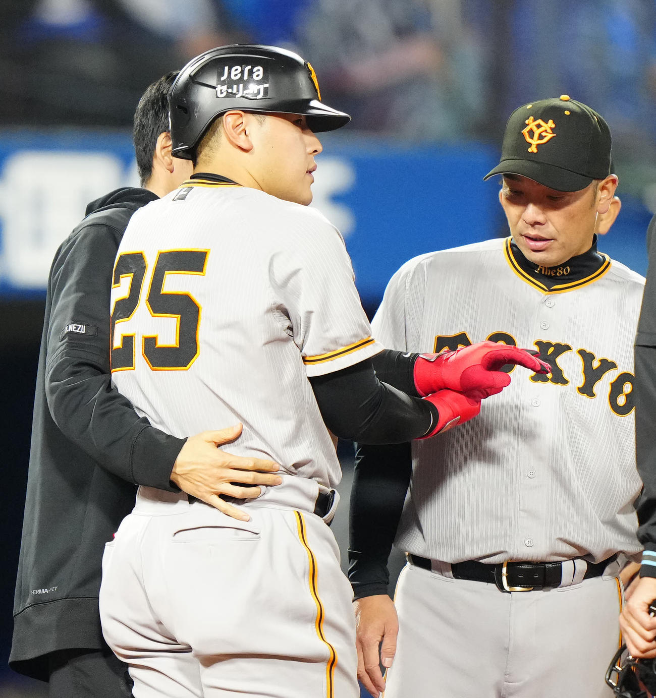 DeNA対巨人　7回表巨人1死二塁、死球を受けた岡本和（撮影・江口和貴）