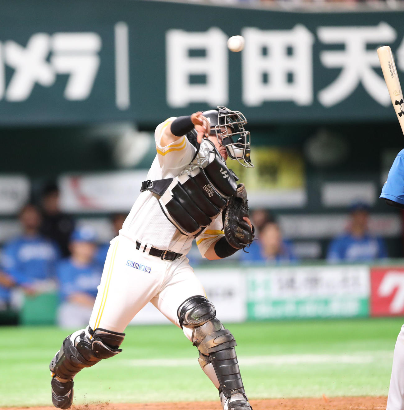 5回表日本ハム無死一塁、打者・矢沢のとき一塁へ送球し一塁走者の水野をアウトにする甲斐捕手（撮影・梅根麻紀）
