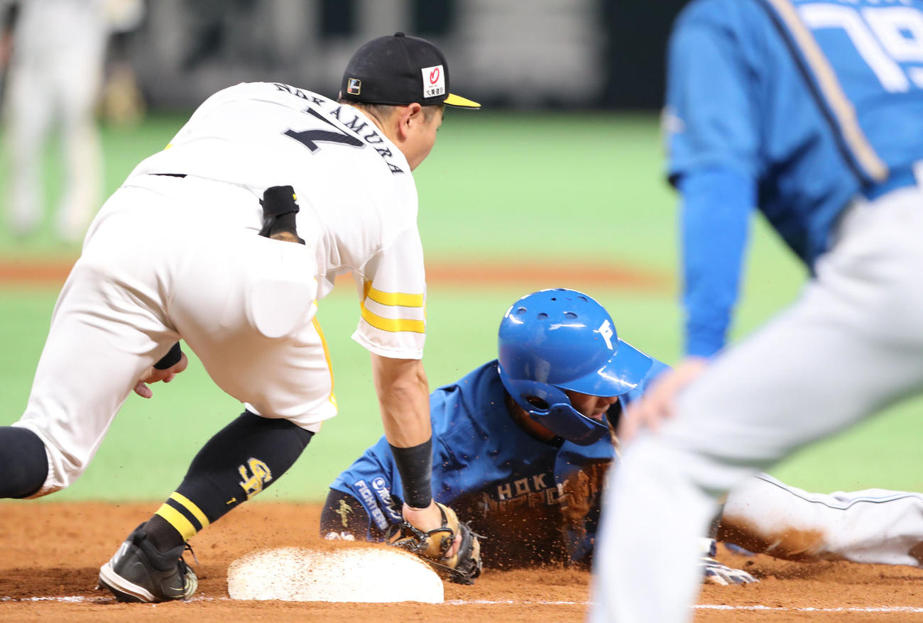 5回表日本ハム無死一塁、打者・矢沢のとき一塁へ送球し一塁走者の水野をアウトにする甲斐捕手（撮影・梅根麻紀）