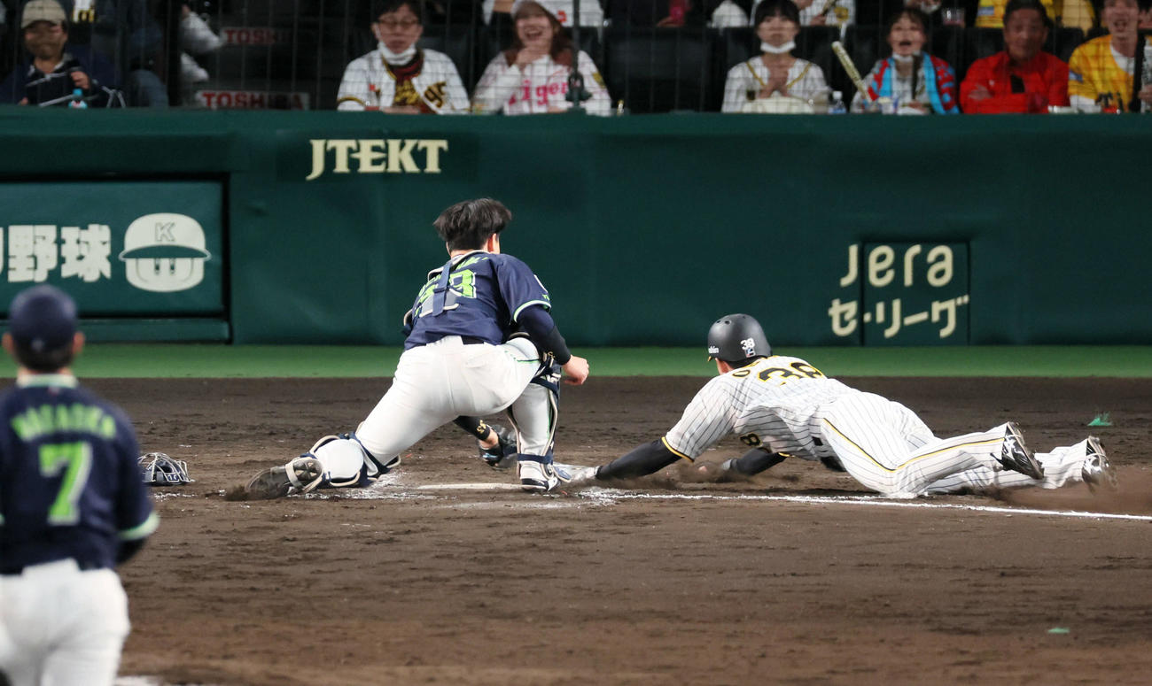 阪神対ヤクルト　8回裏阪神1死二、三塁、代打糸原の遊適時野選で生還する三塁走者の代走小幡（撮影・加藤哉）