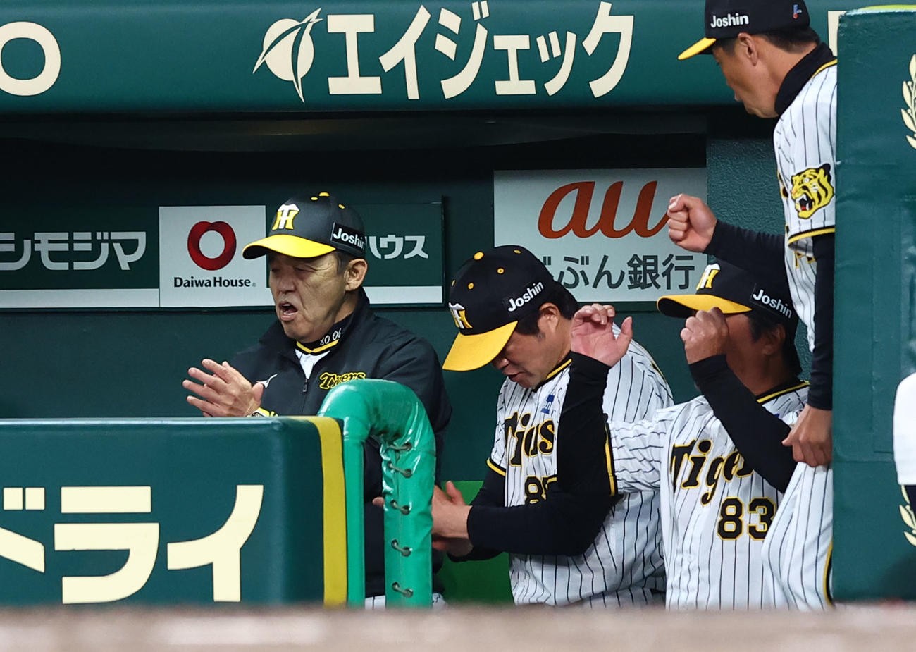 阪神対ヤクルト　ヤクルトに勝利し、ベンチで喜ぶ阪神岡田監督（左端）（撮影・藤尾明華）