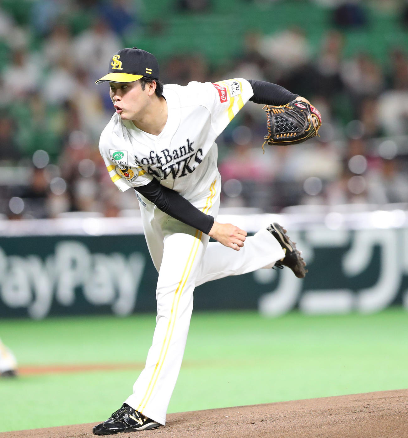 ソフトバンク対日本ハム　ソフトバンク先発の藤井（撮影・梅根麻紀）