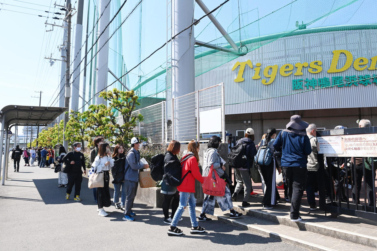 阪神対ソフトバンク　整有観客試合となり入場するファン（撮影・前岡正明）