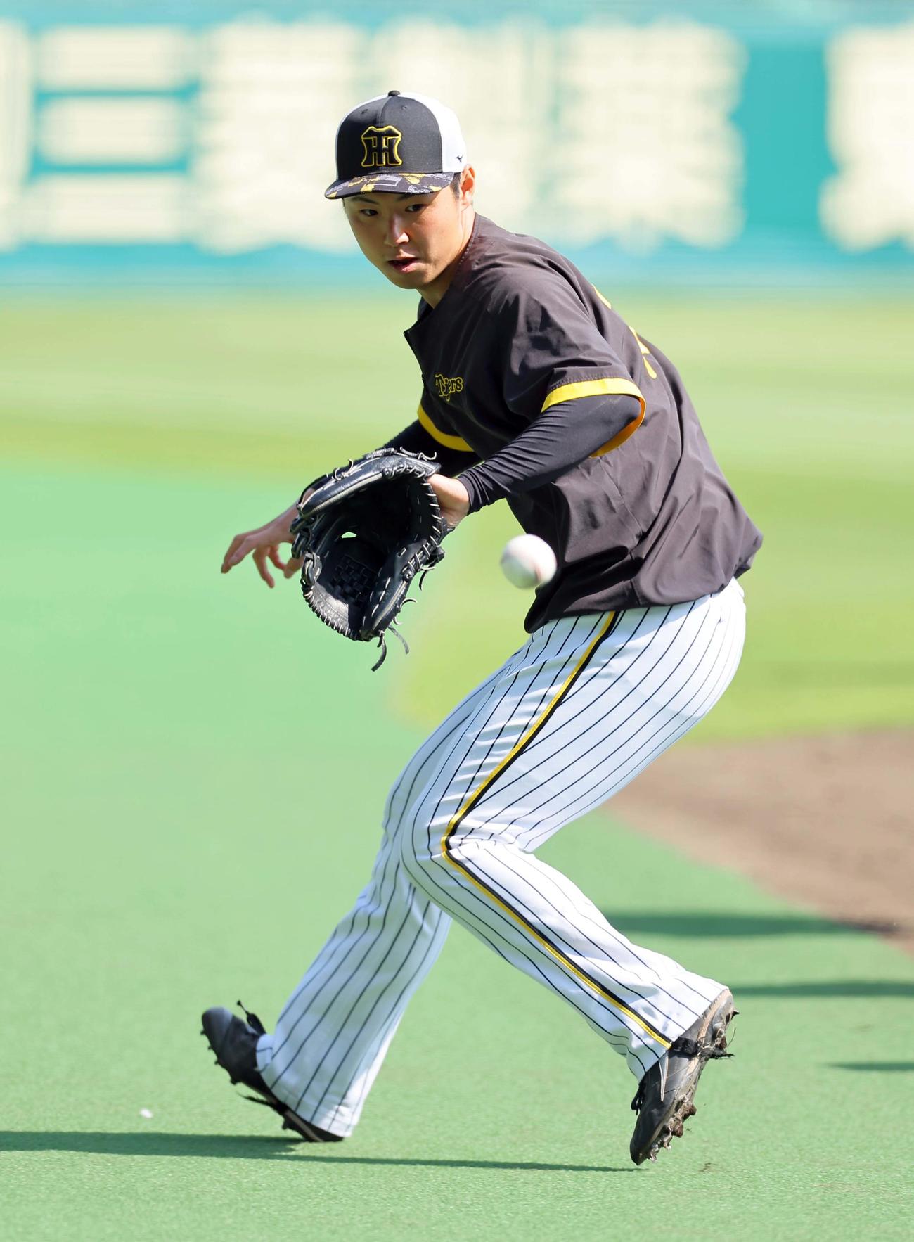 阪神対DeNA 1軍に合流しノックを受ける浜地（撮影・上田博志）