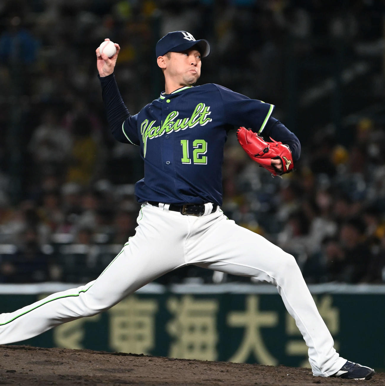 石山泰稚
