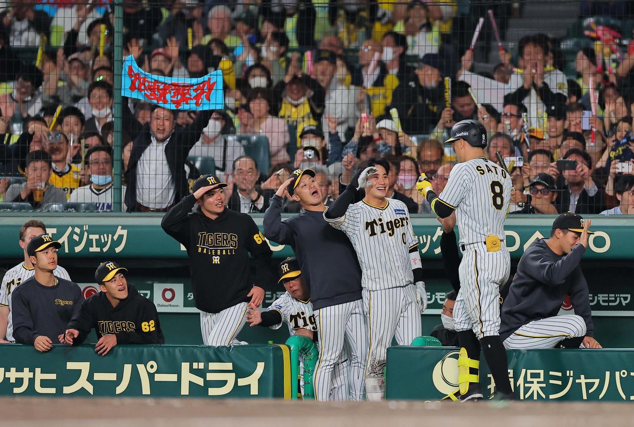阪神対DeNA 3回裏阪神1死、バックスクリーンへ本塁打を放った佐藤輝を出迎える阪神ナイン（撮影・上田博志）