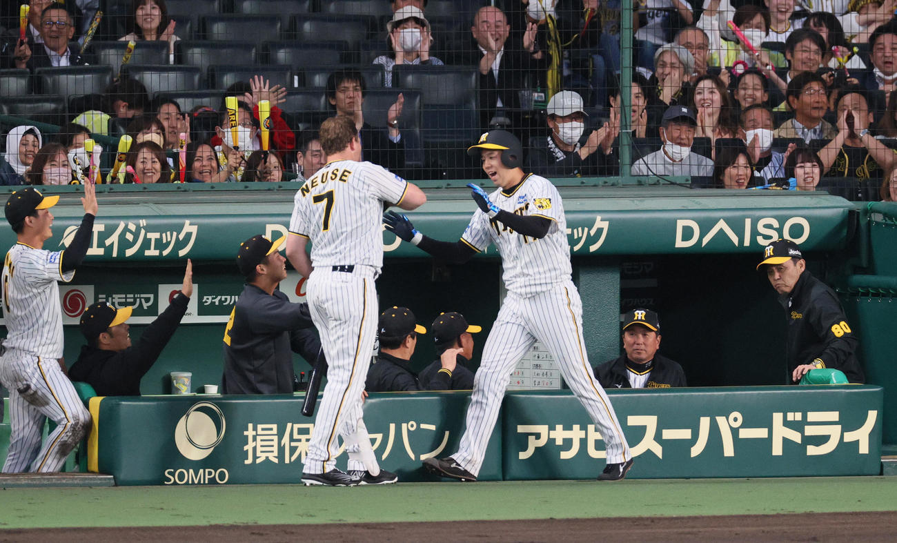 阪神対DeNA 2回裏阪神2死二塁、青柳（手前右）は近本の左前適時打で生還し、出迎えを受ける（撮影・上山淳一）