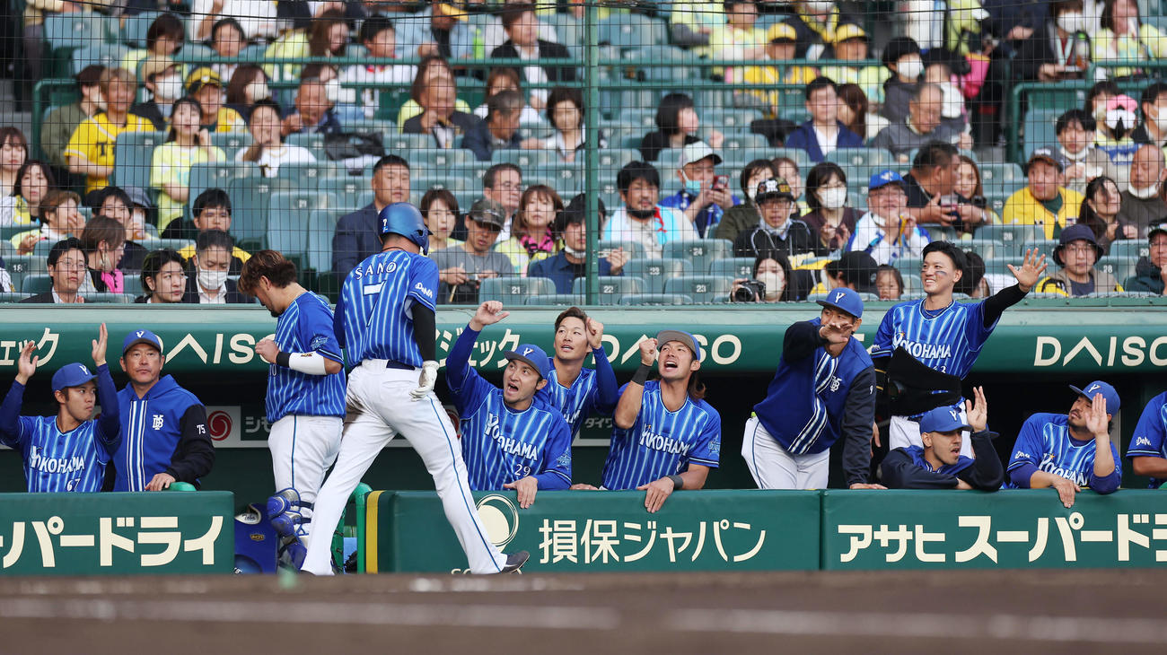 阪神対DeNA 1回表DeNA1死二塁、神里の適時打で生還した佐野を迎えるDeNAナイン（撮影・前田充）