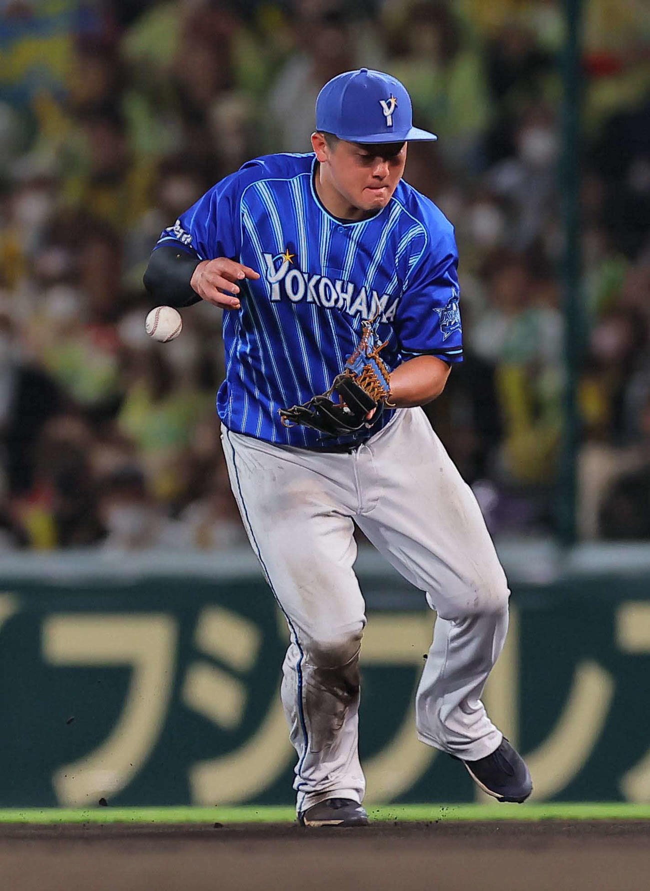 阪神対DeNA 6回裏阪神2死、牧は近本の打球をファンブルする（撮影・上田博志）