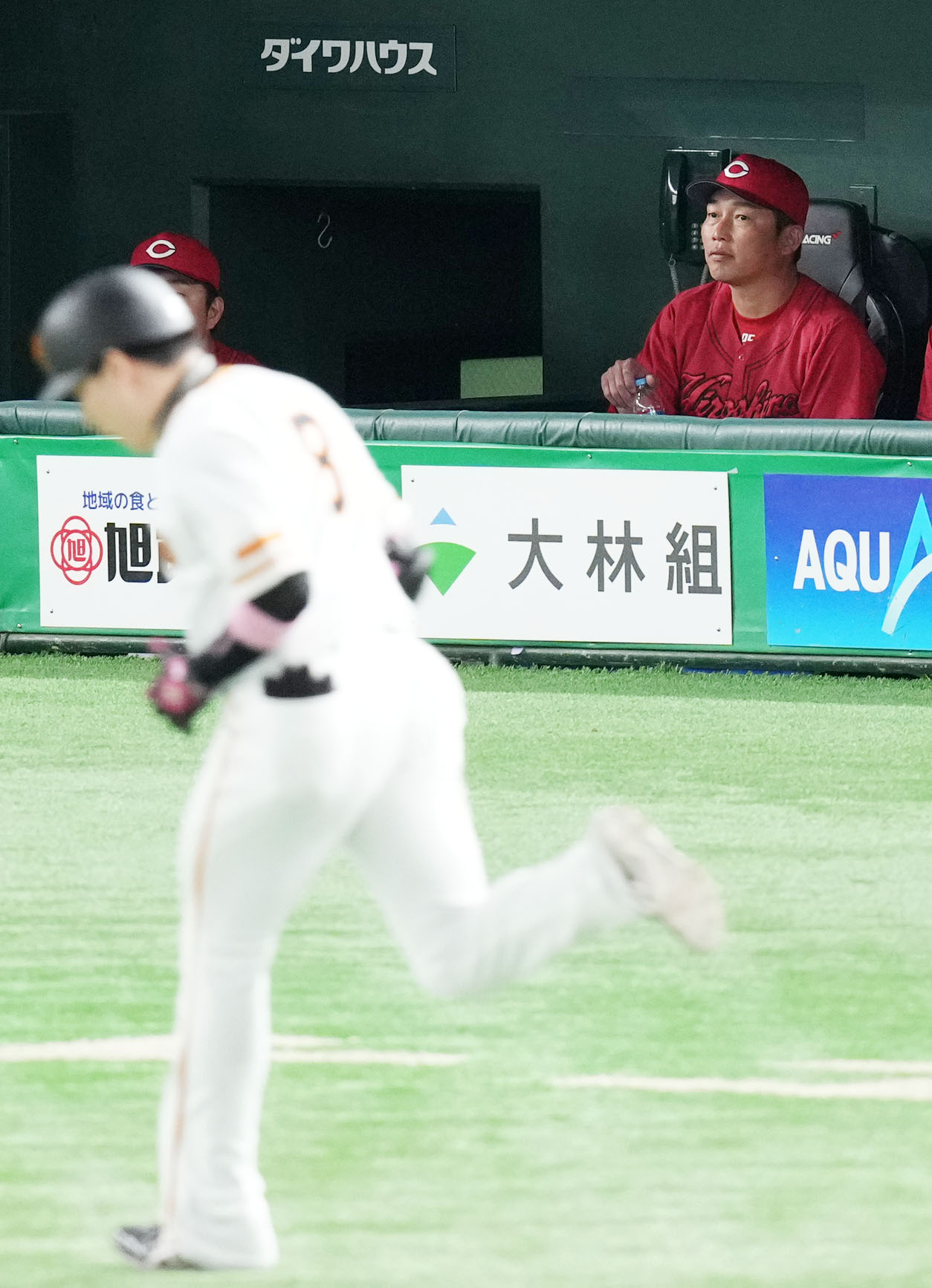 巨人対広島　6回裏巨人無死二塁、右越え2点本塁打を放ち本塁へ向かう丸を前に水に手を伸ばす新井監督（撮影・横山健太）