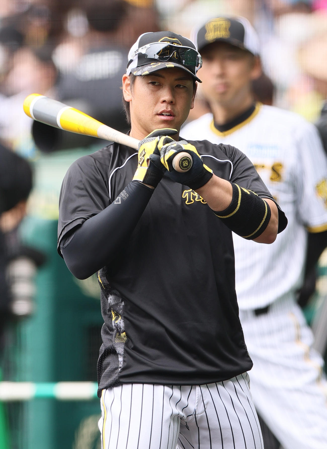 阪神対DeNA　試合前、打撃練習に励む阪神梅野（撮影・上山淳一）