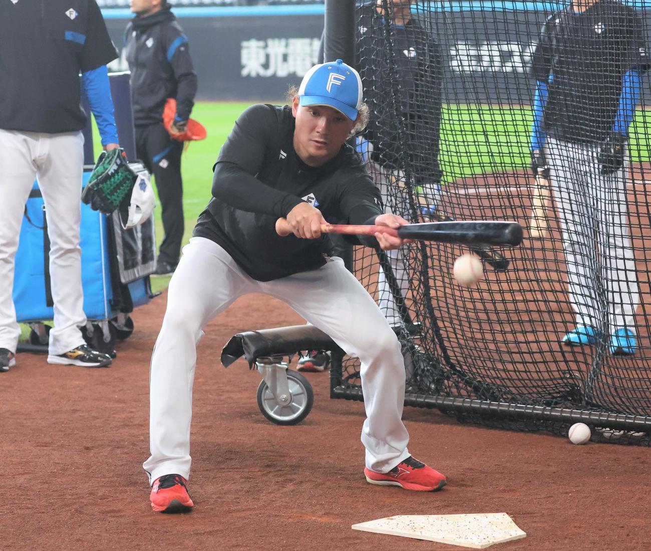 日本ハム対ロッテ　バント練習する伊藤（撮影・黒川智章）