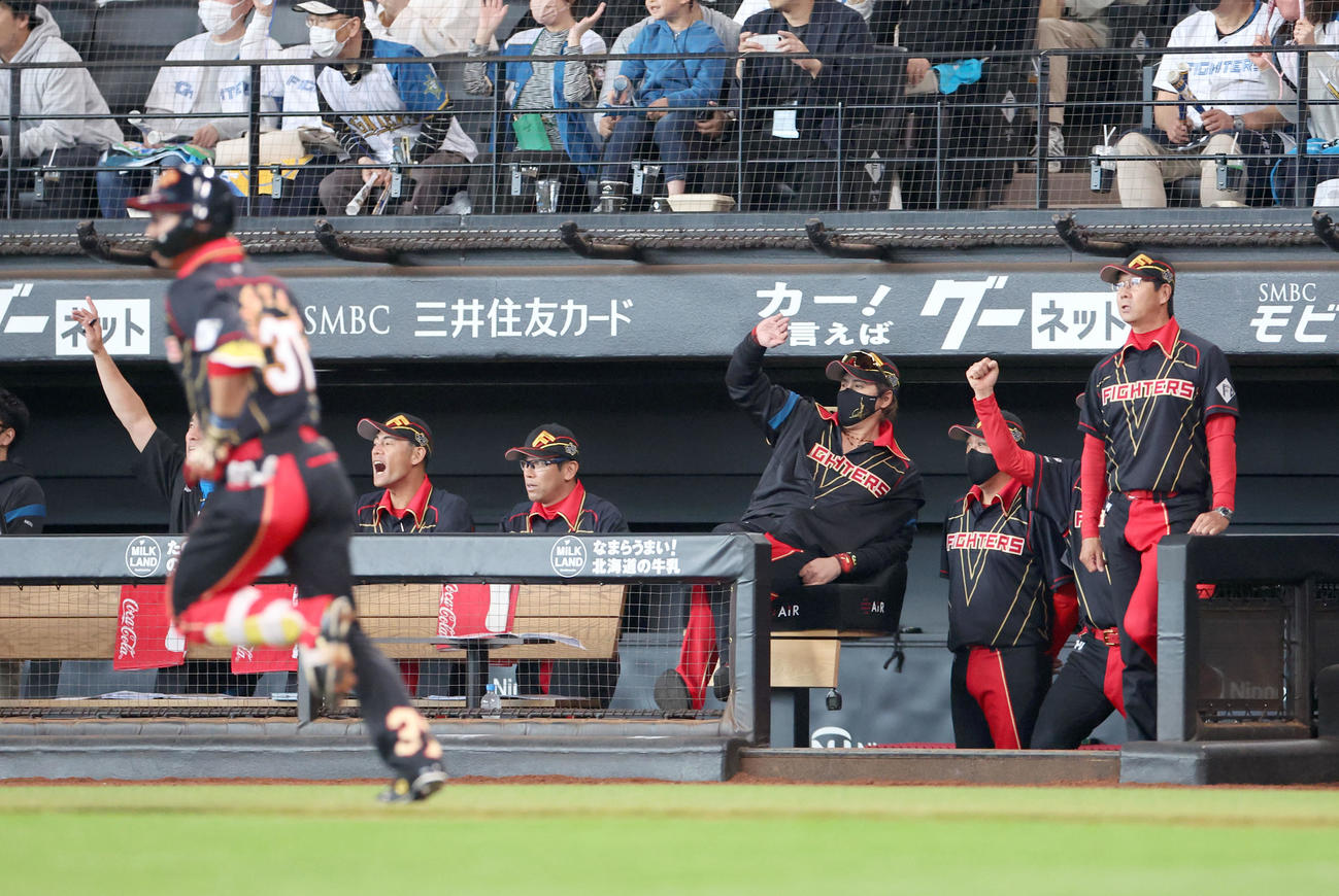日本ハム対ロッテ　3回裏日本ハム2死一、三塁、江越の打球を見つめる新庄監督（中央）（撮影・佐藤翔太）
