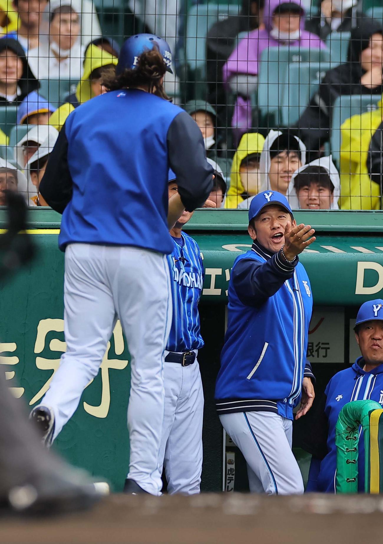 阪神対DeNA 3回表DeNA2死二塁、三浦監督はソトの適時打で生還したガゼルマンを出迎える（撮影・上田博志）