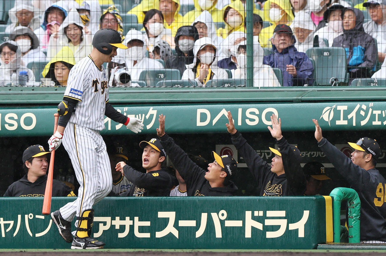 阪神対DeNA 4回裏阪神1死一塁、大竹（手前）は送りバントを決めナインの出迎えを受ける（撮影・上山淳一）
