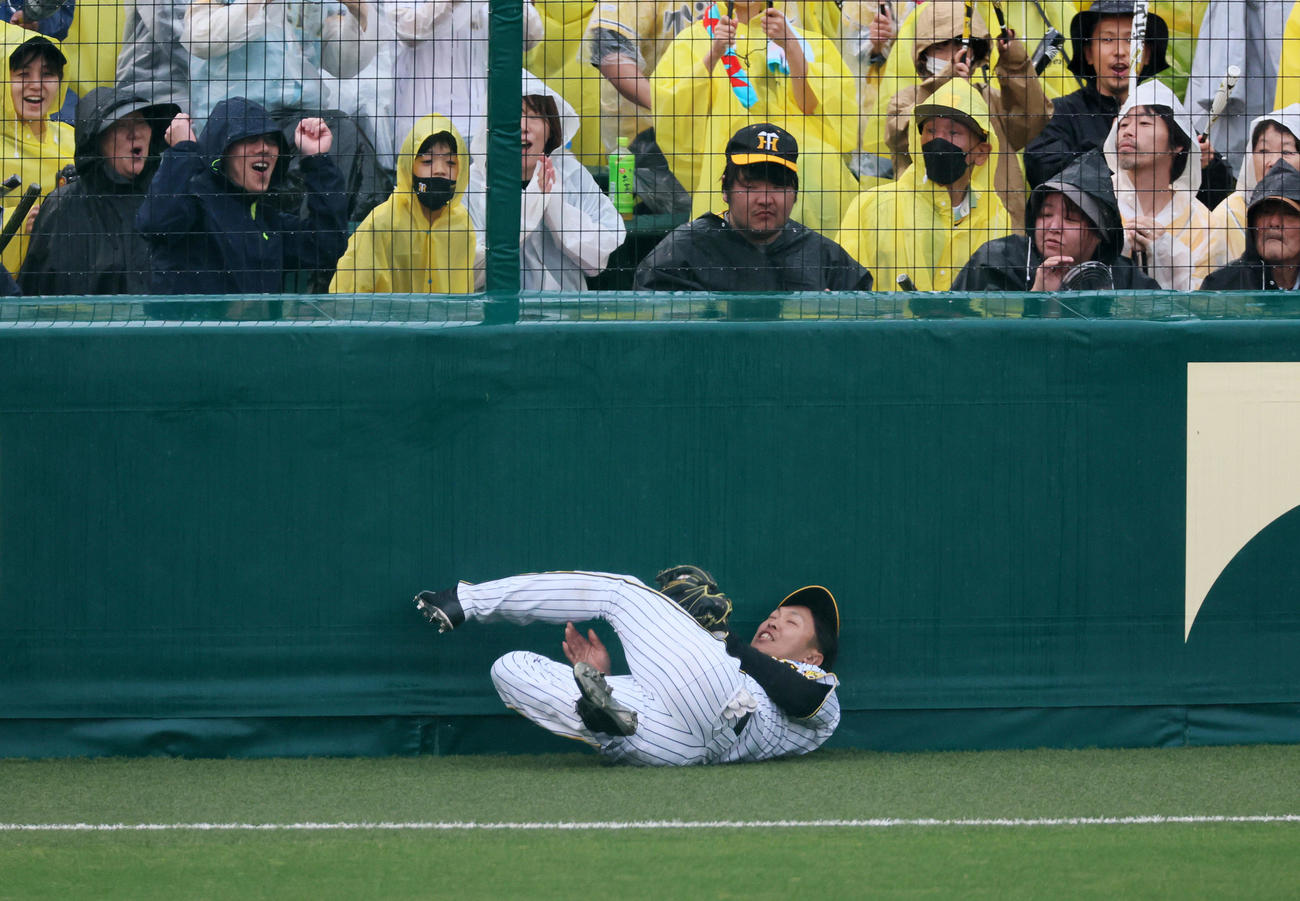 阪神対DeNA 7回表DeNA無死、島田は桑原の飛球を捕球しそのままフェンスに激突する（撮影・加藤哉）
