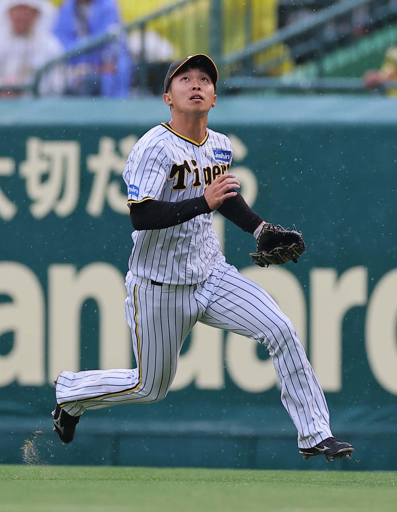 阪神対DeNA 7回表DeNA無死、島田は桑原の右飛を好捕する（撮影・上田博志）