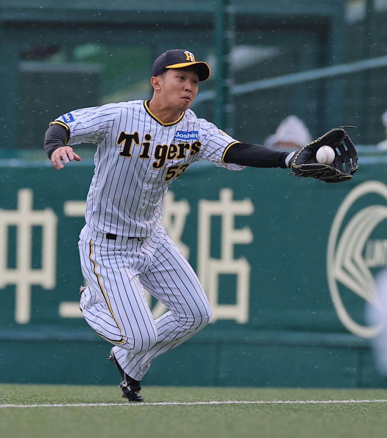 阪神対DeNA 7回表DeNA無死、島田は桑原の右飛を好捕する（撮影・上田博志）
