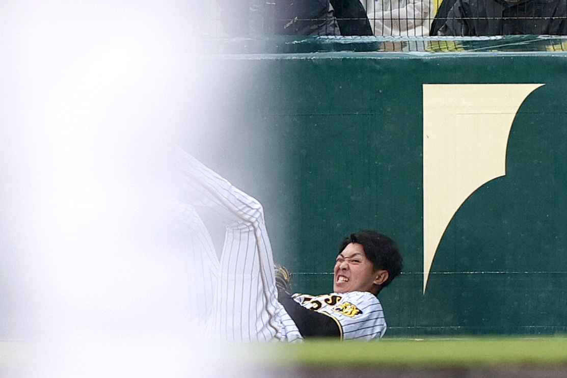 阪神対DeNA 7回表DeNA無死、右翼手島田は桑原の邪飛を好捕する（撮影・上山淳一）