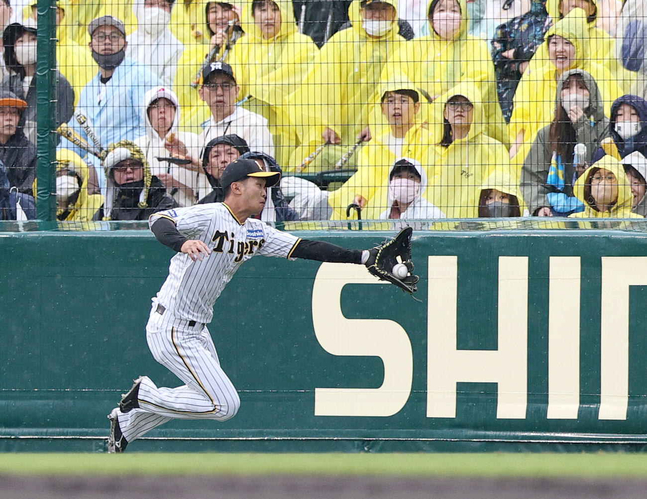 阪神対DeNA 7回表DeNA無死、右翼手島田は桑原の邪飛を好捕する（撮影・上山淳一）