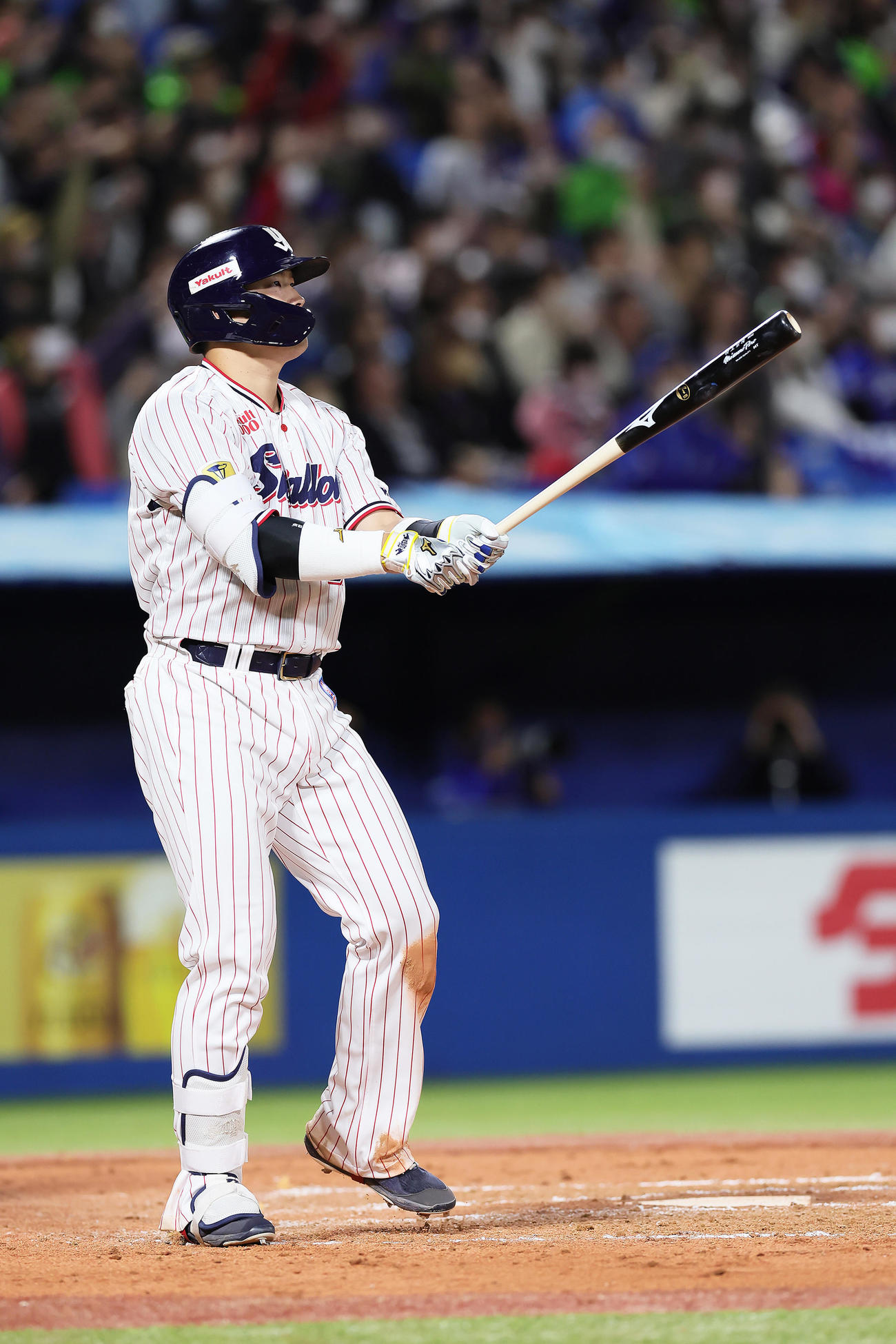 ヤクルト対中日　8回裏ヤクルト無死一塁、村上は右越え2点本塁打を放つ（撮影・足立雅史）