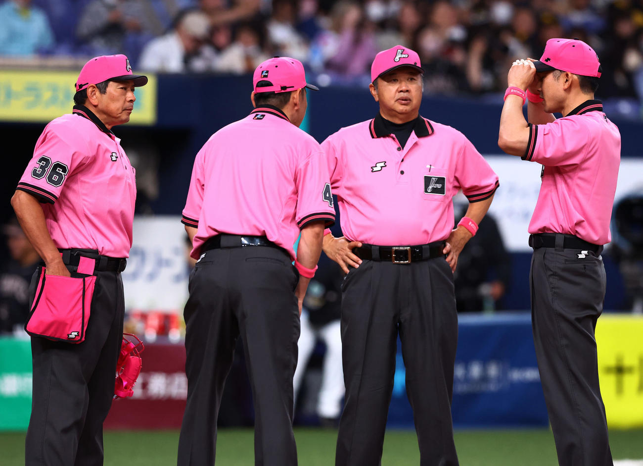 オリックス対ソフトバンク　ピンクのユニホームで試合に臨む審判団（撮影・藤尾明華）