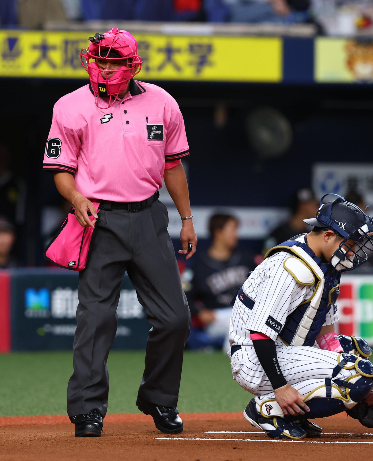 オリックス対ソフトバンク　ピンク色で統一された姿で審判を務める真鍋球審（撮影・藤尾明華）