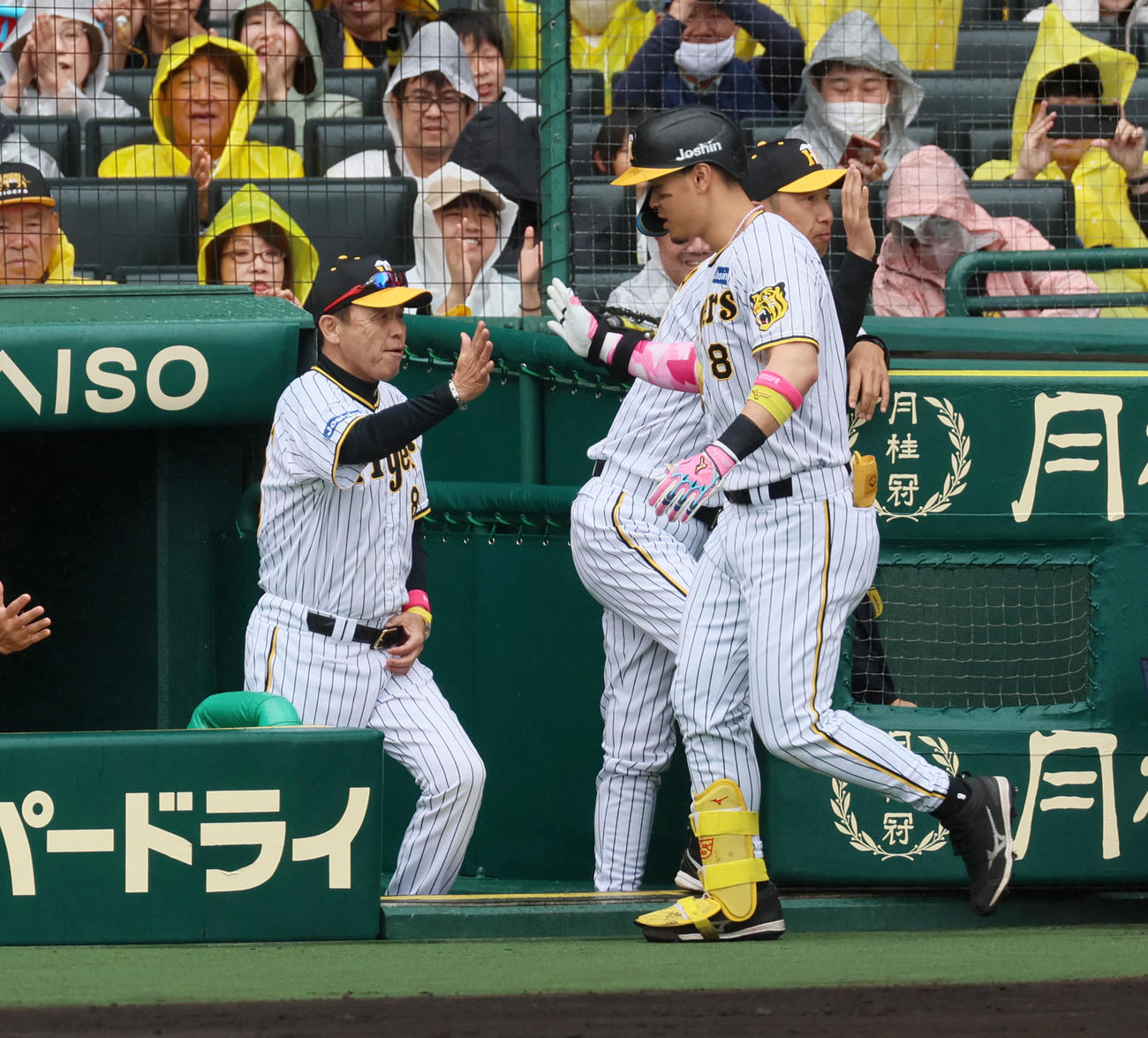 阪神対DeNA 1回裏阪神2死一、二塁、右越え3点本塁打を放った佐藤輝（右）をベンチで出迎える岡田監督（撮影・加藤哉）