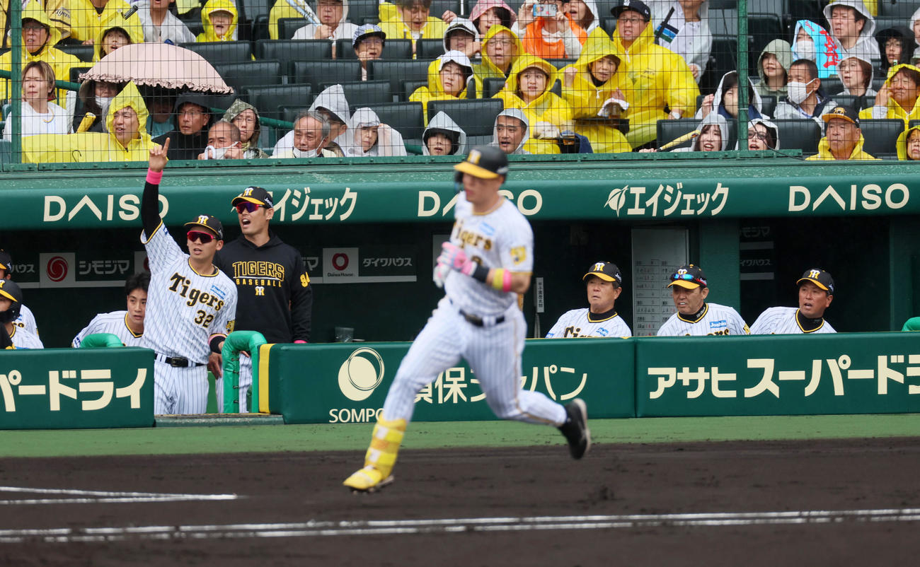 阪神対DeNA 1回裏阪神2死一、二塁、岡田監督（右から2人目）は佐藤輝の右越え3点本塁打をベンチから見つめる（撮影・加藤哉）